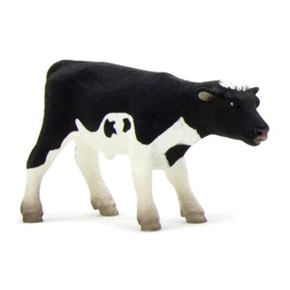 Mojo Holstein Borj ll S
