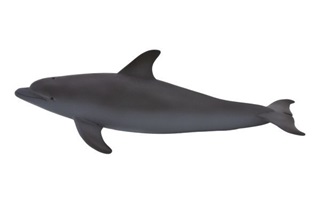 Mojo Delfin M