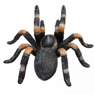 Mojo Mexiki Vrstrd Tarantula M