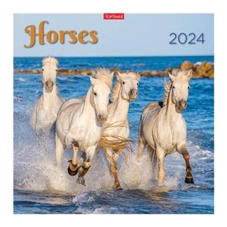 Horses Lemeznaptr - 2025