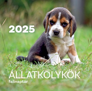 llatklykk Falinaptr 2025.