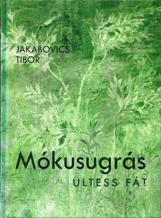 Mkusugrs - ltess Ft