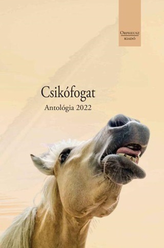 Csikfogat