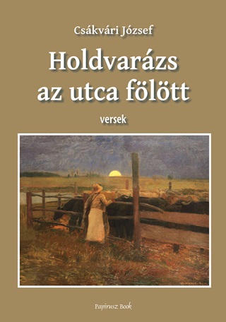Holdvarzs At Utca Felett