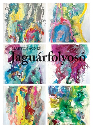 Jagurfolyos - Mission Jaguar
