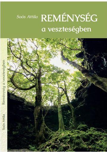 Remnysg A Vesztesgben