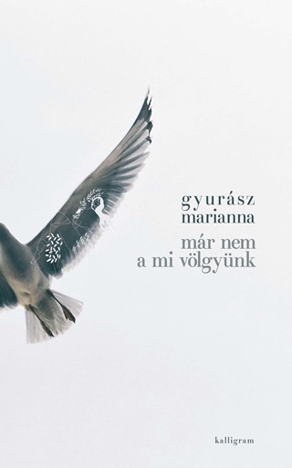 Mr Nem A Mi Vlgynk