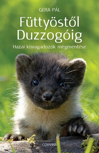 Fttystl Duzzogig - Hazai Kisragadozk Megmentse
