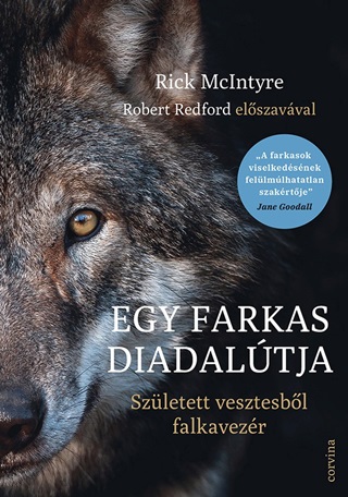 Egy Farkas Diadaltja  Szletett Vesztesbl Falkavezr