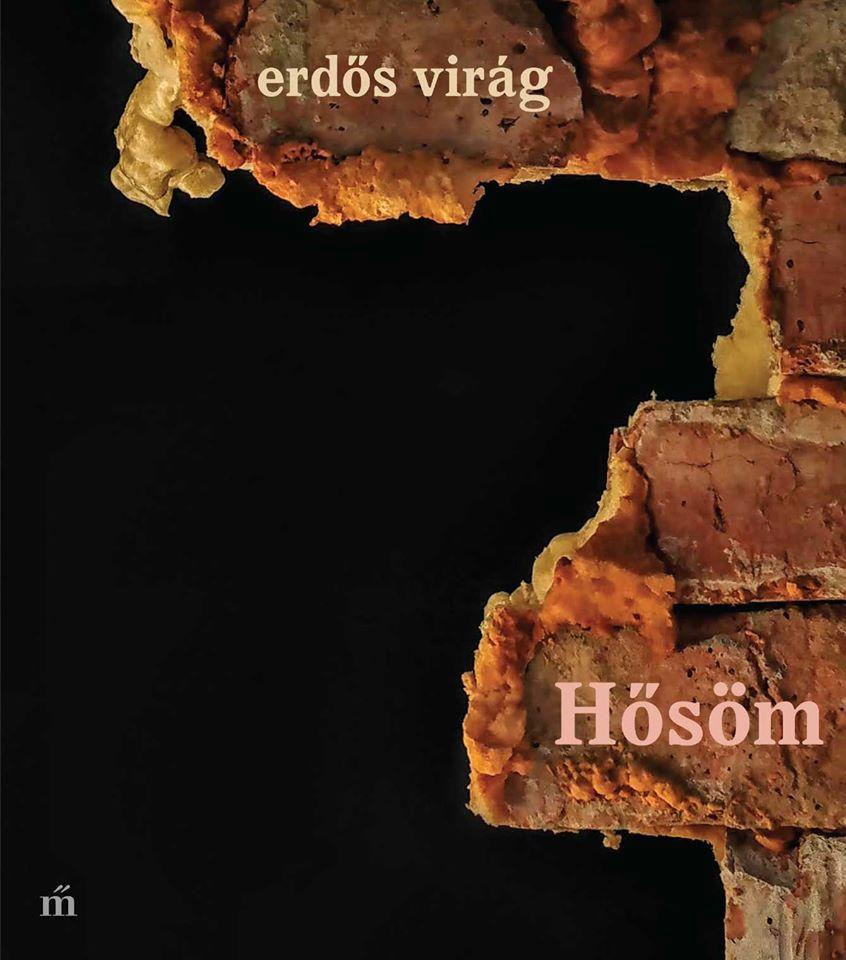 Hsm