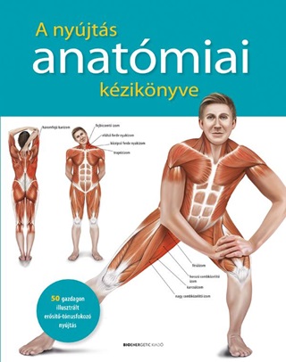 A Nyjts Anatmiai Kziknyve