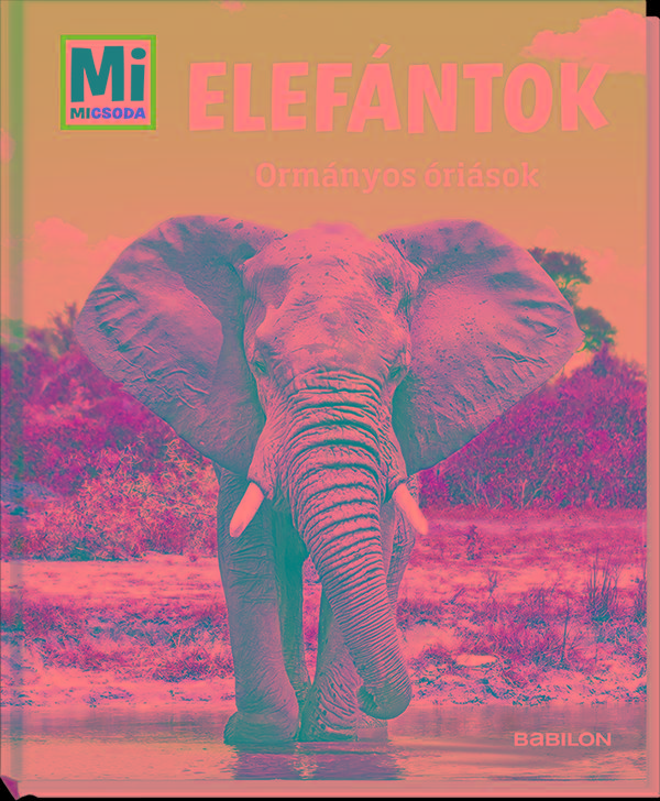 Elefntok - Ormnyos risok - Mi Micsoda