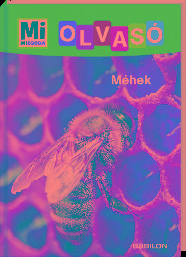Mhek - Mi Micsoda Olvas