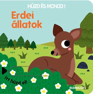 Hzd s Mondd! 10. - Erdei llatok