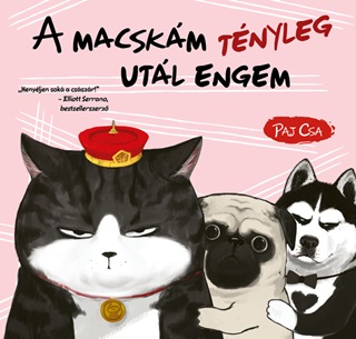 A Macskm Tnyleg Utl Engem (Macska s Kutya 2.)