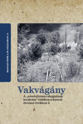 Vakvgny. A Szocializmus Alapjainak Leraksa Vidken A Hossz tvenes vekben