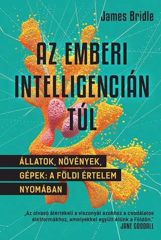 Az Emberi Intelligencin Tl