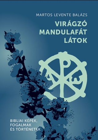 Virgz Mandulaft Ltok