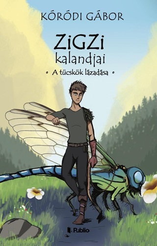Zigzi Kalandjai - A Tcskk Lzadsa
