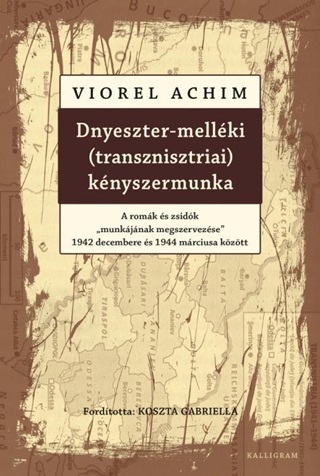 Dnyeszter-Mellki (Transznisztriai) Knyszermunka