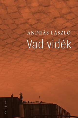 Vad Vidk