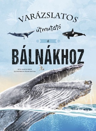 Varzslatos tmutat A Blnkhoz