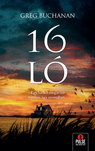 16 L
