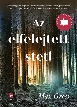 Az Elfelejtett Stetl