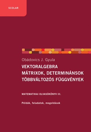 Vektoralgebra, Mtrixok, Determinnsok,  Tbbvltozs Fggvnyek  (2.Kiads)