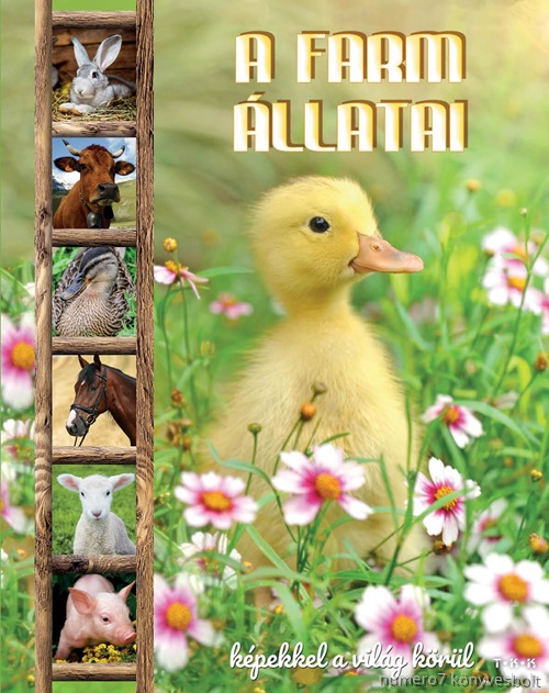 A Farm llatai - Kpekkel A Vilg Krl