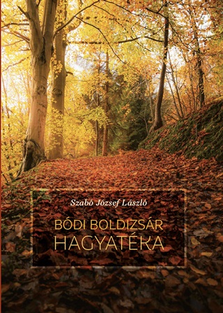 Bdi Boldizsr Hagyatka