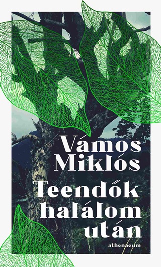 Teendk Hallom Utn