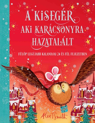 A Kisegr, Aki Karcsonyra Hazatallt