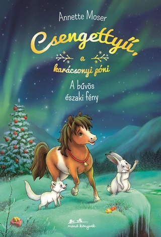 Csengetty A Karcsonyi Pni 3. - A Bvs szaki Fny