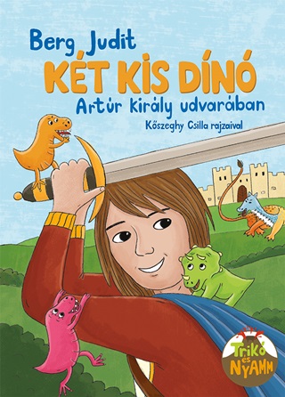 Kt Kis Din Arthur Kirly Udvarban (Flexibilis)
