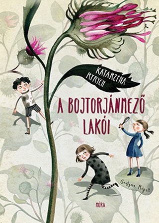A Bojtorjnmez Laki