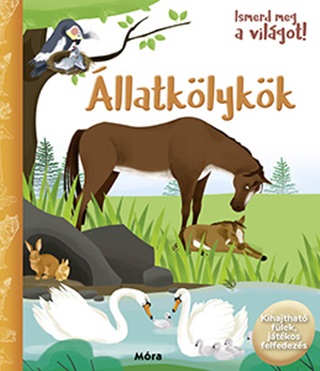 llatklykk - Ismerd Meg A Vilgot!