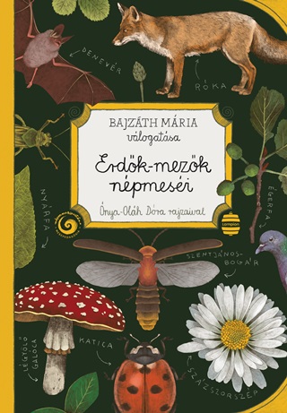 Erdk-Mezk Npmesi