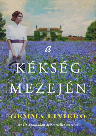 A Kksg Mezejn