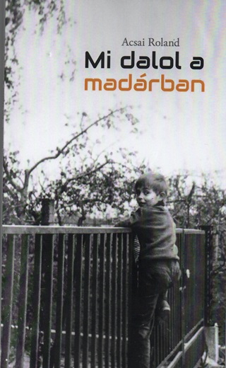Mi Dalol  A Madrban