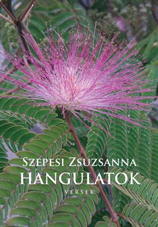 Hangulatok - Versek